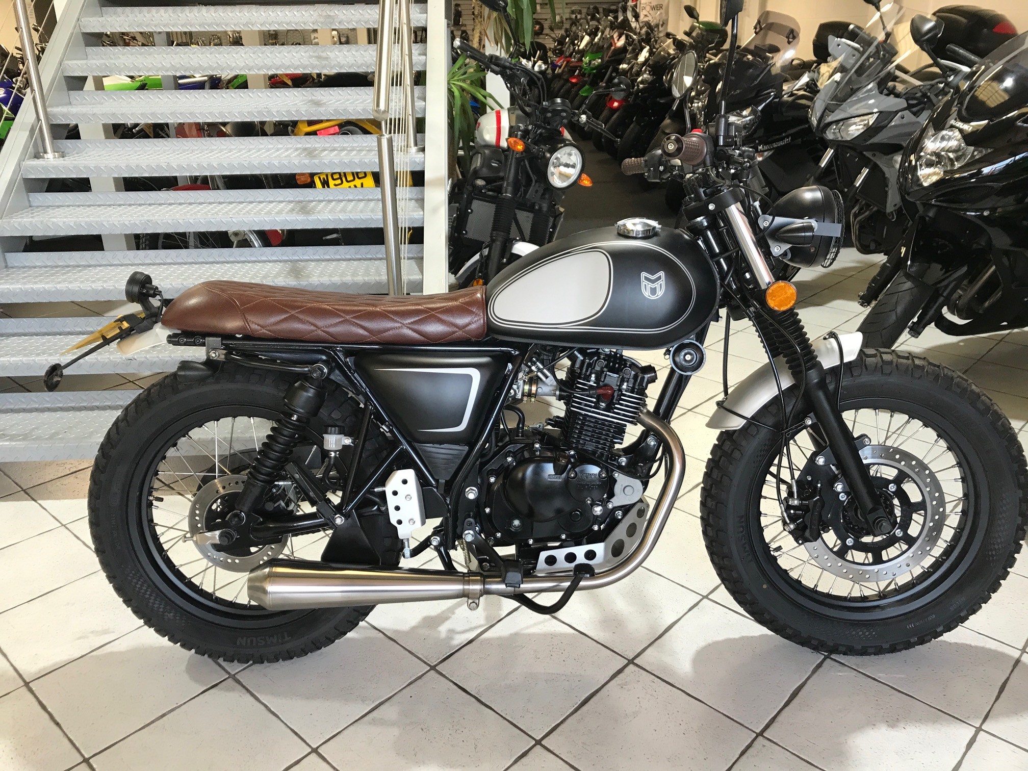 Other Mutt Mastiff 125